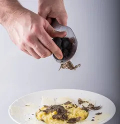 pates truffle.jpg