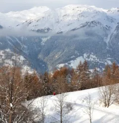 Montgésin trail