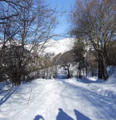 Montgésin trail