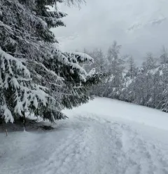 Itinéraire de raquette "La Pierra"
