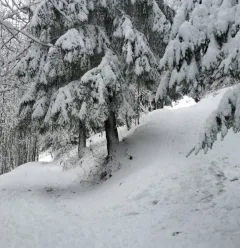 Itinéraire de raquette "La Pierra"
