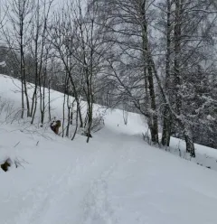 Itinéraire de raquette "La Pierra"