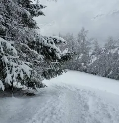 Itinéraire raquette "Montchavin-Les Coches par Praz Salvard"