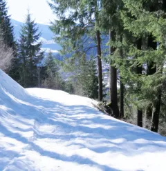 Itinerary Liotraz