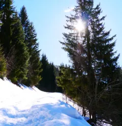 Itinerary Liotraz