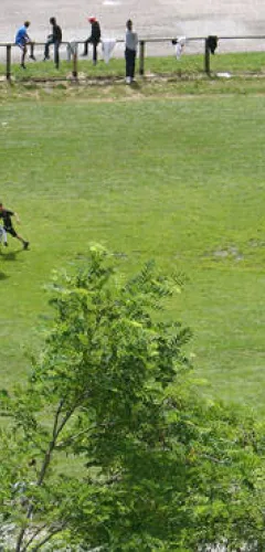 Football field