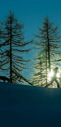 Le Revers trail in winter