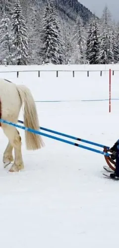 Sled pony_Champagny-en-Vanoise