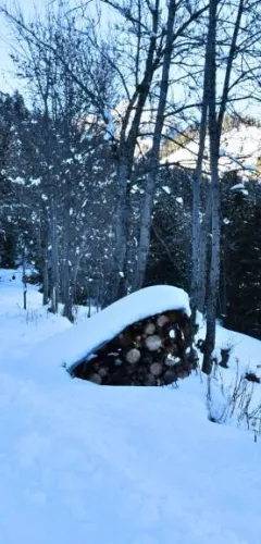 Pra Chanié nordic trails_Aime-la-Plagne