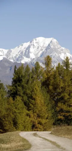 Panoramic view of Mont Blanc