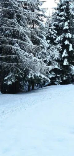 Snowshoe / hiking trail - Bonvillard, the producers' trail_Aime-la-Plagne