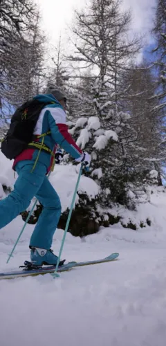Itinéraire Ski de randonnée Montalbert