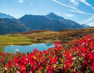 Hiking itinerary : Lac du Carroley_Montchavin-les-Coches