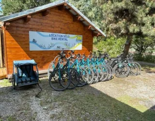 Bike rental