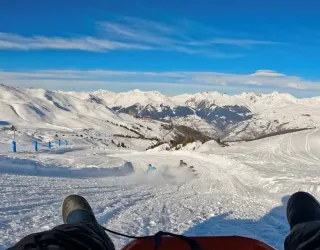 luge