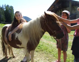 Forperet mini farm