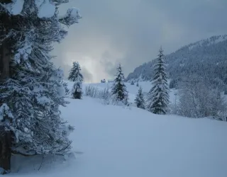 La Vallée des Bauches