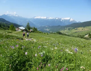 Grand Tour de Tarentaise - Hiking 27 days