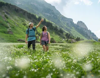 Hiking route : Plateau de Plan Pichu trail_Aime-la-Plagne