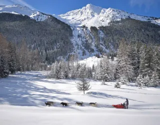 Génération Musher