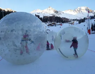 snowbulles
