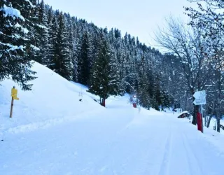 Pra Chanié nordic trails_Aime-la-Plagne