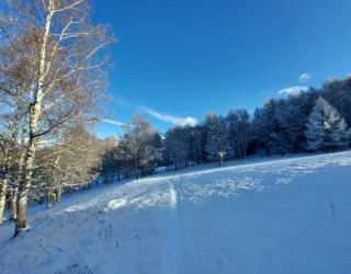 Pravendu trail