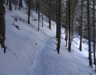 Taillette snowshoeing itinerary