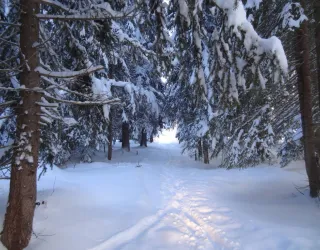 Winter itinerary Comba Damon