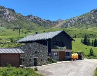 Cheese dairy