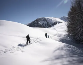 Snowshoe outing