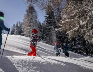 Snowshoeing itinerary: Le Bois des Fornettes