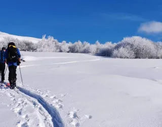 ski touring from Valezan