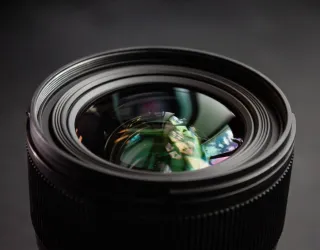 Supervised outing: introduction to nature photography