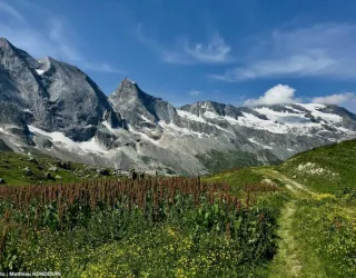 Matthieu RONDOUIN - Moutain guide