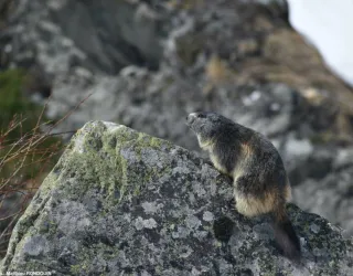 Matthieu RONDOUIN - Moutain guide