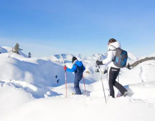 snowshoes