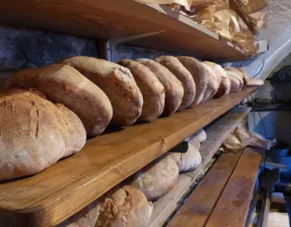 bread and brioche sale
