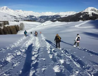 Snowshoe walks and hikes_Plagne-Montalbert