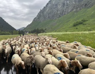 Fête de l'emmontagnée_Champagny-en-Vanoise