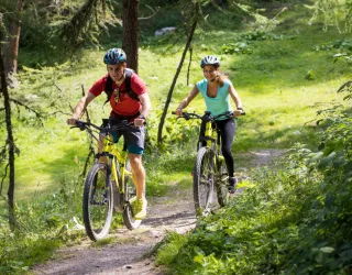 Electric Mountain Biking Circuit: Les Bauches