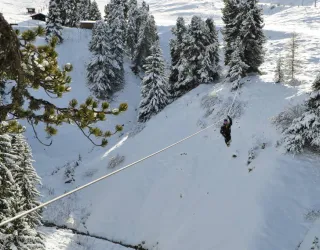 Trio of Giant Ziplines