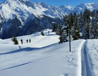 Ski touring