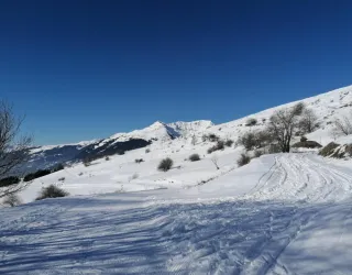 Snowshoe trail – Les Fours circuit_La Plagne Tarentaise