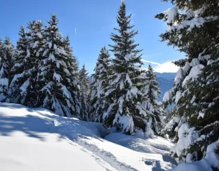 Balade à raquettes - Boucle des crêtes_La Plagne Tarentaise
