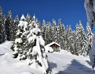 Snowshoe trail - Boucle du bief_La Plagne Tarentaise