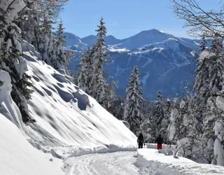 Balade à raquettes - Boucle du Bonpas_La Plagne Tarentaise