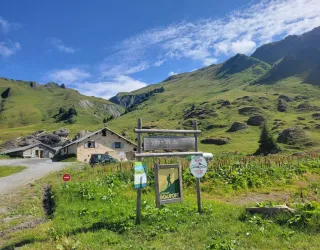 Easy Hike: Plan Pichu Alpine Pasture/La Coire Mountain Hut Easy Hike: Plan Pichu Alpine Pasture/La Coire Mountain Hut_Aime-la-Plagne