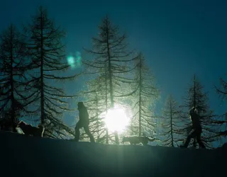 The musher's evening!_Montchavin-les-Coches