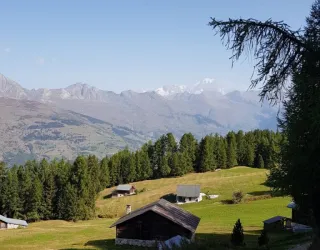Plagne-Tarentaise (Montchavin-Les Coches )